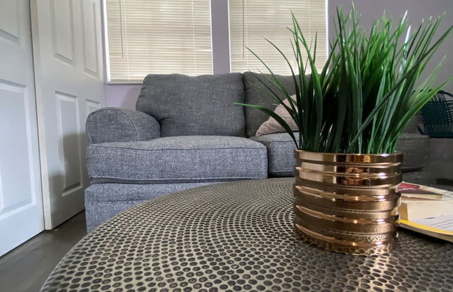 The Cherry Blossom - Photo 17