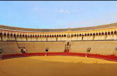 Ole triana - Photo 36