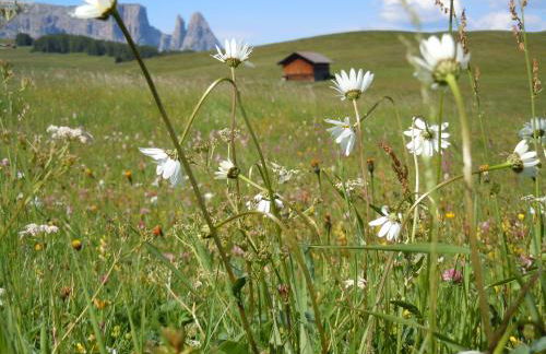 Feldererhof - Foto 47