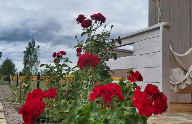 Drewniany Zakątek z sauną i jacuzzi - Foto 32