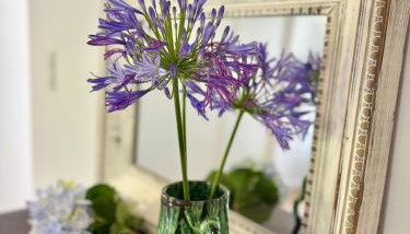 Casa das Amoreiras - Foto 2