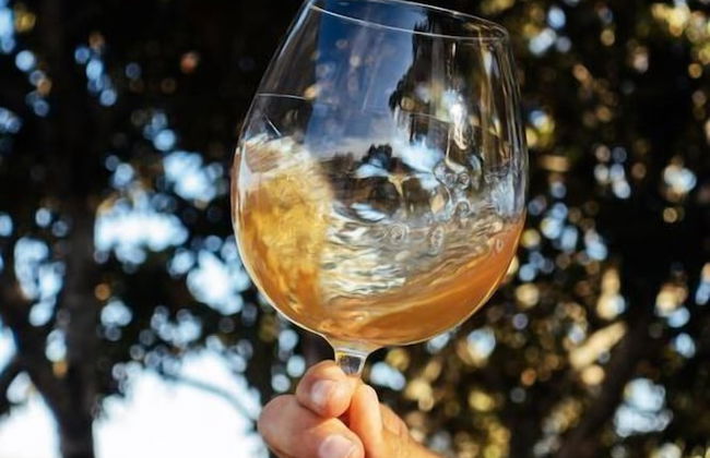 Quinta Vila Rachel - Photo 32