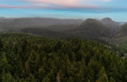 Peaceful Treehouse-Style Stay with Sauna Fire Pit Forest Views Near the Coast The Treehouse by AvantStay - Foto 51