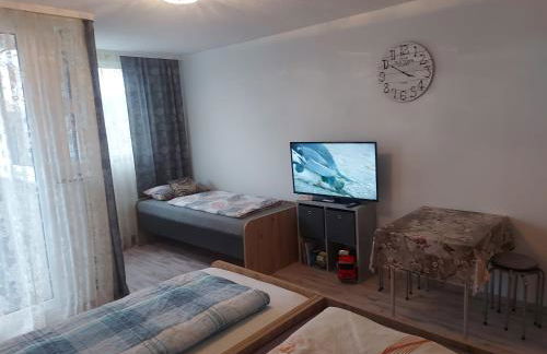 Steinhübel Uni-Nähe - Foto 6