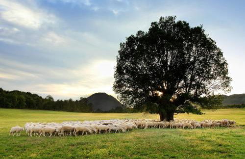 La Borda de Pastores - Foto 18