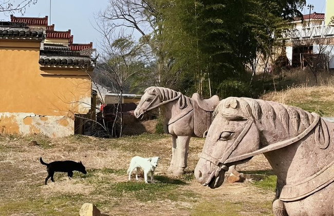 Excursión de un día a la Pequeña Gran Muralla de Yixing desde Shanghái - Foto 25