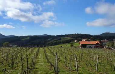 H&AP Rural Merrutxu - Foto 31