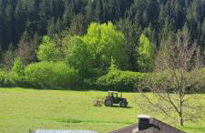 Casa Del Biso - Photo 4