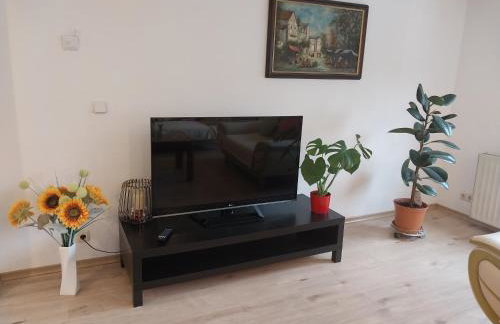 Talblick & Ruhe in Hirschhorn Langenthal - Foto 4