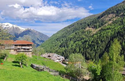 Mas del Mezdì - mountain chalet Val di Rabbi - Foto 11