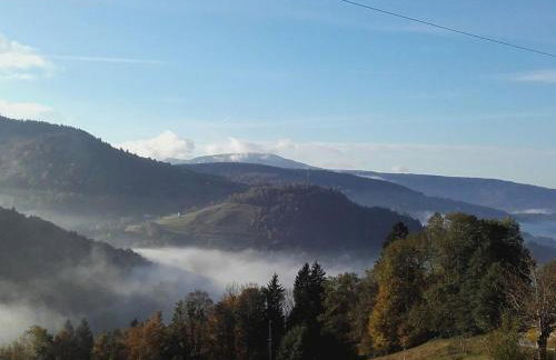Charmant studio dans ferme avec terrasse et parking - montagnes des Vosges - FR-1-589-164 - Foto 5