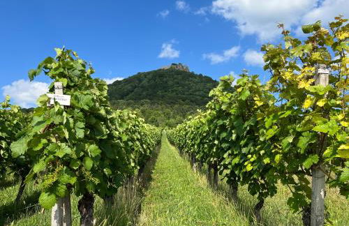 Steinach Apartment - Photo 31