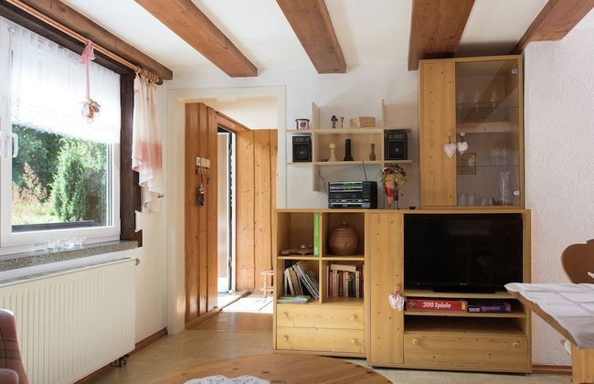 Cozy Ore Mountain Chalet - Foto 14