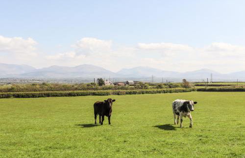 Mynydd Mwyn - Foto 36