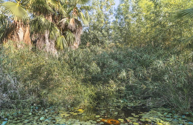 Villa Can Mir - Foto 38