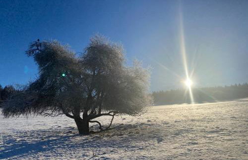 Sonnenhof, Ferienwohnung auf Reitanlage - Foto 32