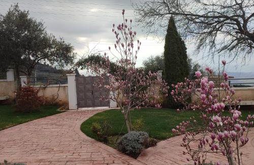 Guesthouse Michobeis - Foto 40