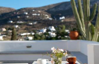 Argo-studios - Foto 20