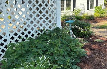 In the Woods by a Pond! Sugar Ranch Guest House! - Foto 69