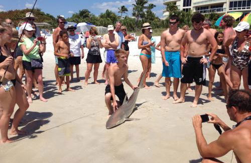 Luxury and the beach - Foto 22