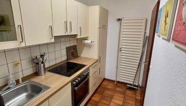 Charmantes Einzimmer Apartment in Kehl - Foto 5