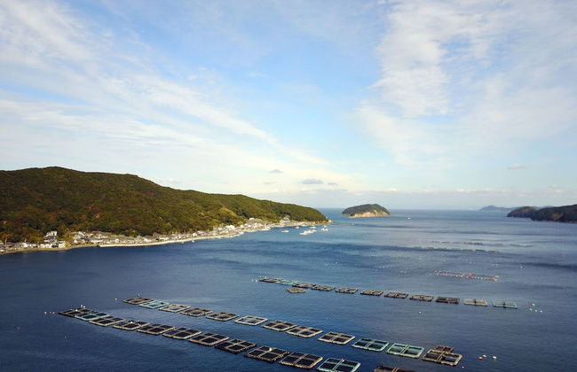 Tsubaki House - Foto 27