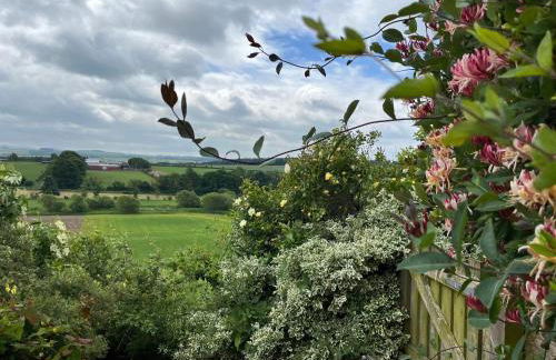 Cocklekitty Cottage - Foto 28