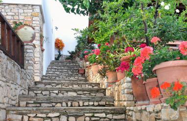 Pension Andromeda - Foto 61