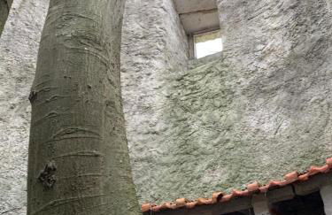 Santuário SOS Animal - Foto 27