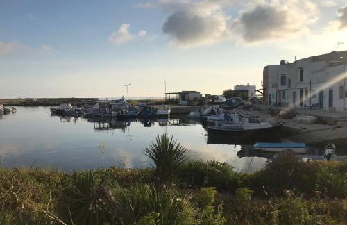 Home Music & Love - Foto 70