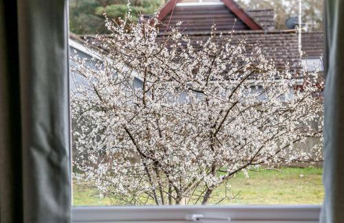 2 Bed in Ringwood oc-94272 - Foto 14