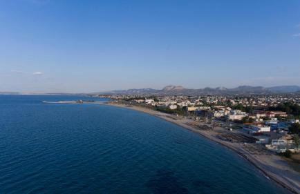 Lemon Tree House - Photo 53