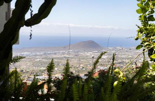 Live Candelaria Araya Muy mia - Foto 48