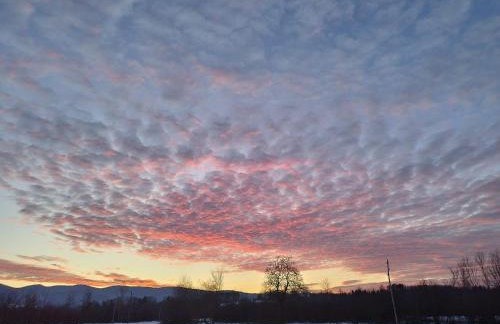 Three Little Birds Artists Residence - Foto 50