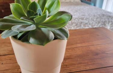 La Buschera - Foto 16