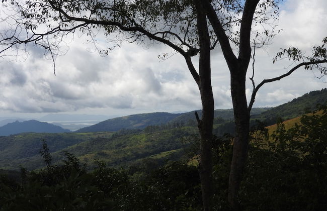 Madrugada Magic - Foto 33