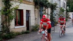 L'arbrissel - Photo 2