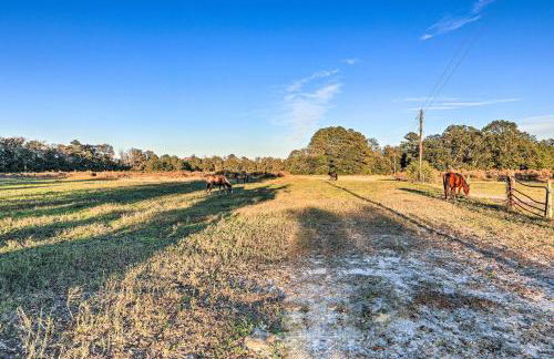 Havelock Country Cabin on Working Horse Farm! - Foto 26