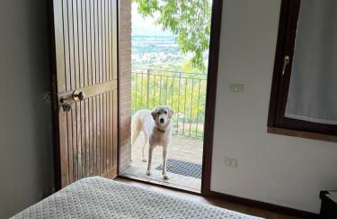 SetterHouseAgriHotel - Photo 24