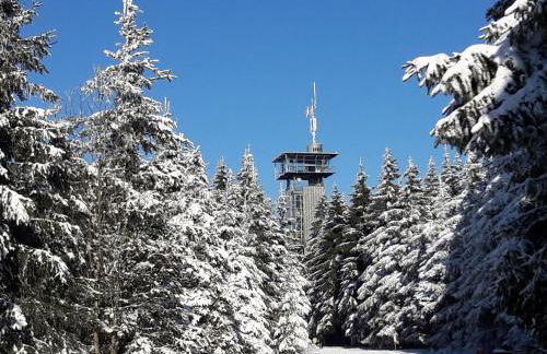 Panoramaferienwohnung Bergwiese - Foto 27