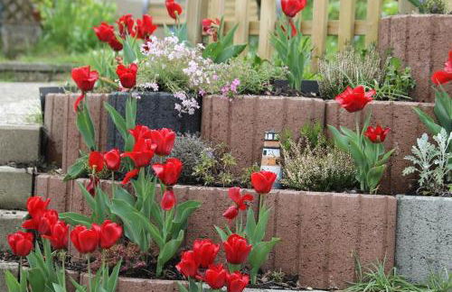 Ferienwohnung Küssner - Foto 7