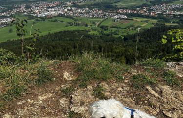 Luxliv Apartements - Photo 8