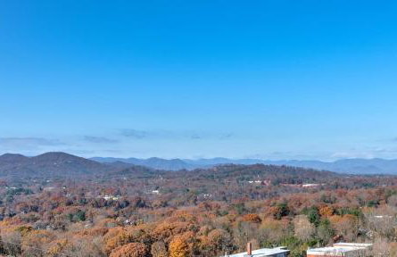 The Asheville Club at 151 - Foto 21