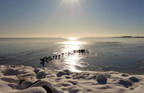 Apartments Blue House, Putbus - Foto 26