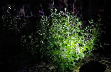 Gîte champenois les voisins - Foto 71