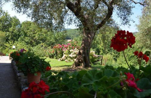 Agriturismo Fiore - Foto 52