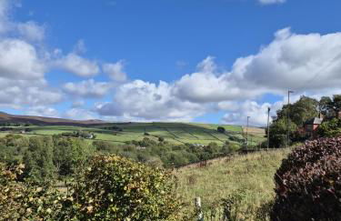 The Waltzing Weasel - Photo 11