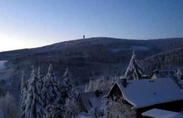 Ferienhaus-Bergtraum-Ferienwohnung-Lilli - Foto 10
