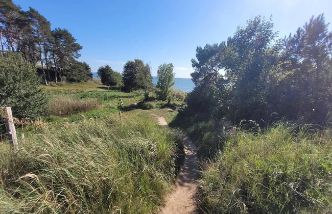 Ferienhof Neuendorfkrug, Lutow - Foto 22