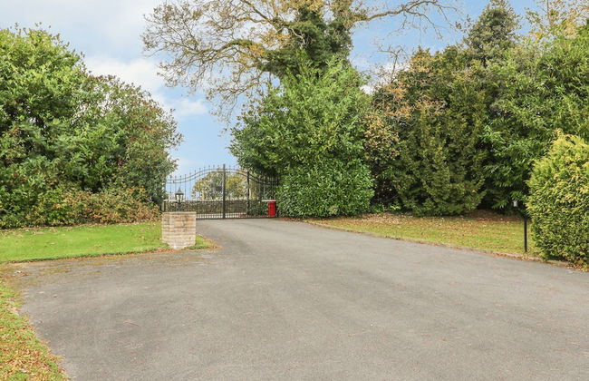 Peak Manor - Photo 14